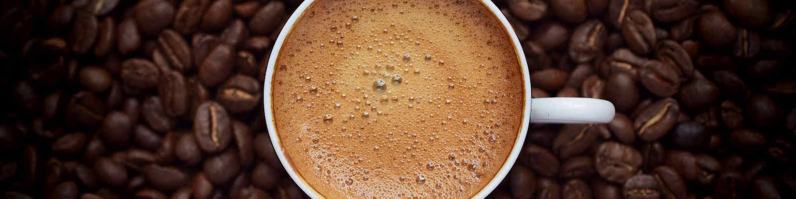 Hospitality — Coffee Team